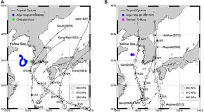 Sea Surface Height Changes due to the Tropical Cyclone-Induced Water Mixing in the Yellow Sea, Korea